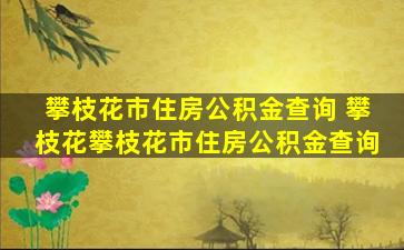 攀枝花市住房公积金查询 攀枝花攀枝花市住房公积金查询
